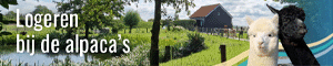alpaca-camping-aan-de-waterspiegel