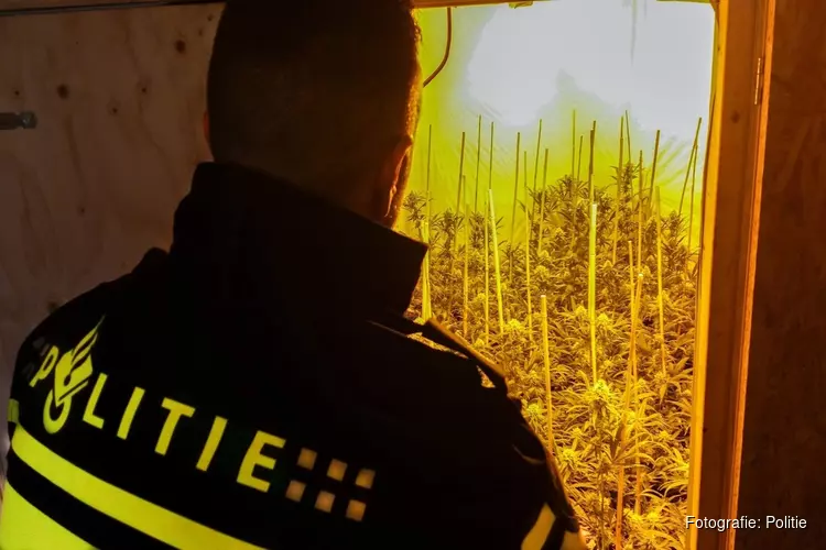Twee hennepkwekerijen ontdekt in Leeuwarden