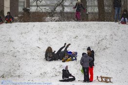 Winterse zondag in beeld