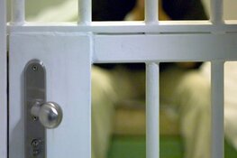 Twee personen aangehouden na dreiging met vuurwapen