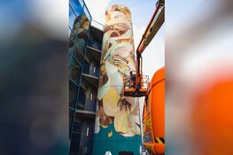 &#39;kunstenaars uit Jordanië kleuren Leeuwarder muren in bijzonder uitwisselingsproject&#39;