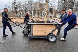 Wandelend bos Bosk draait op menselijke energie