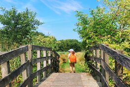 Vier de natuur tijdens Fête de la Nature in De Alde Feanen!