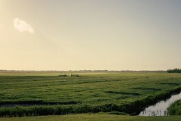 Webinar over de toekomst van het landelijk gebied in Fryslân
