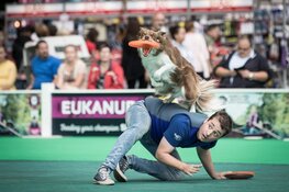 Aanstaand weekend HOND2022 in het WTC Expo te Leeuwarden