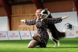 Aanstaand weekend HOND2022 in het WTC Expo te Leeuwarden
