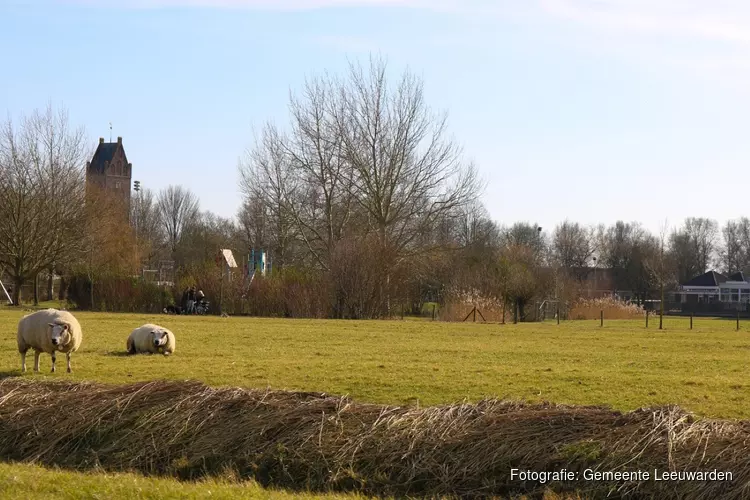 Hotel Campanile in Goutum noodopvanglocatie asielzoekers