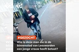 Gezocht: Betasting Wirdumerdijk