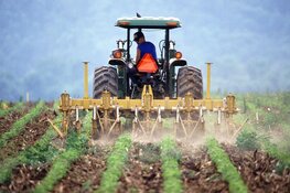 Extra subsidie voor agrariërs om stikstofuitstoot te verminderen