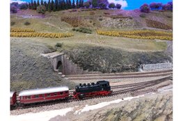 Friese Modelbaan Club Verkoopdag