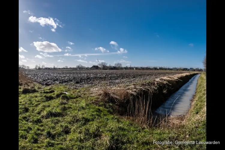 Gemeente Leeuwarden teelt circulair bouwmateriaal
