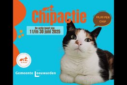 Dierenopvang & Dierenambulance De Wissel chipt én registreert kat voor €6,-