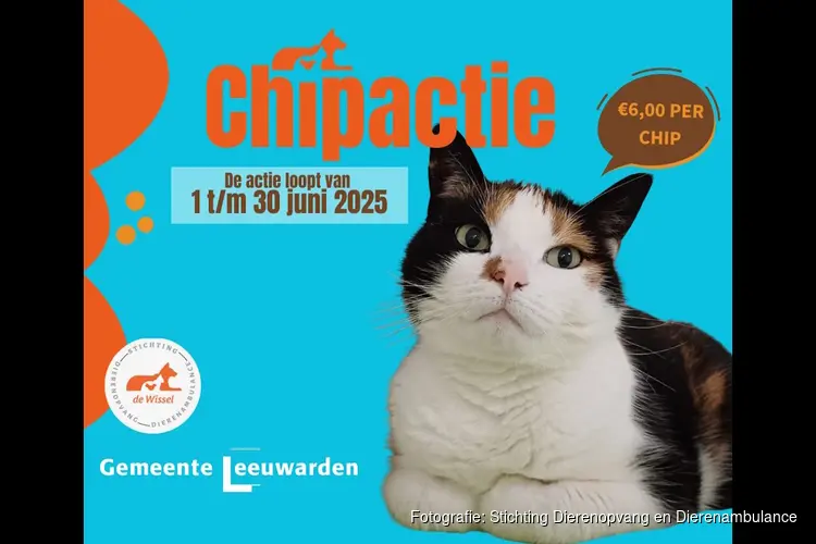 Dierenopvang & Dierenambulance De Wissel chipt én registreert kat voor €6,-