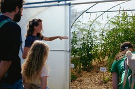 Drie sociale voedseltuinen openen hun poorten op zaterdag 28 juni