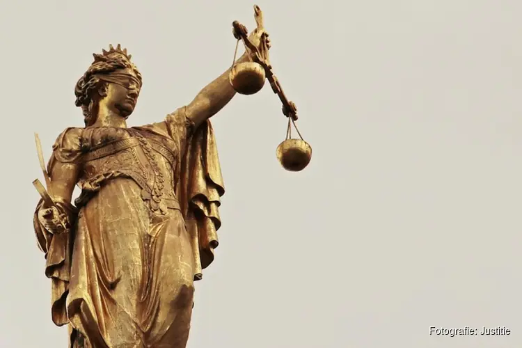 In hoger beroep 6,5 jaar cel voor betrokkenheid 'Teslabranden'