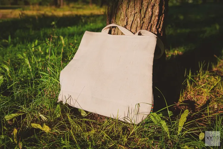 Welke tas past bij jouw promotie?