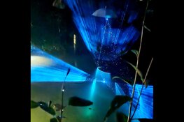 Programma WALFISK in Sneek bekend: vijf mediakunstwerken in en rond de grachten