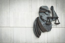 Schade vernielde flexflitser verhaald op daders