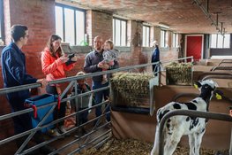 Veel belangstelling voor Toer de Boer Leeuwarden afgelopen weekend