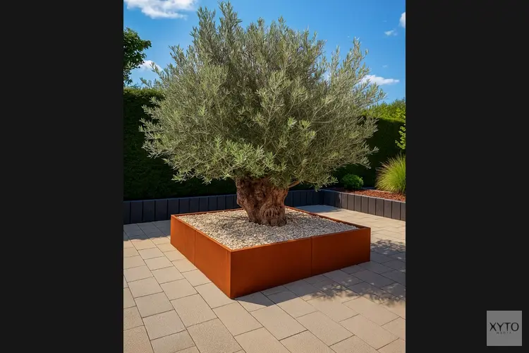 Tuininrichting in Noord-Nederland: populaire materialen en stijlen voor buiten