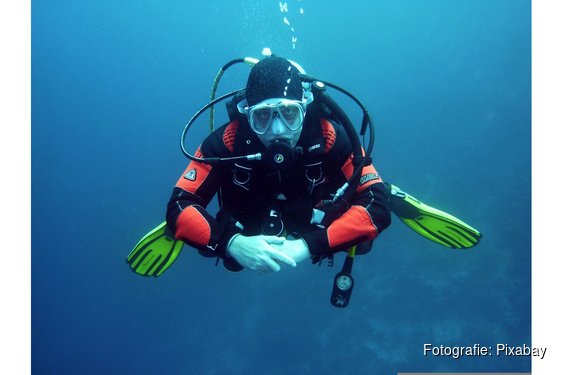 Duiken in Stiens: ontdek de onderwaterwereld op 11 oktober